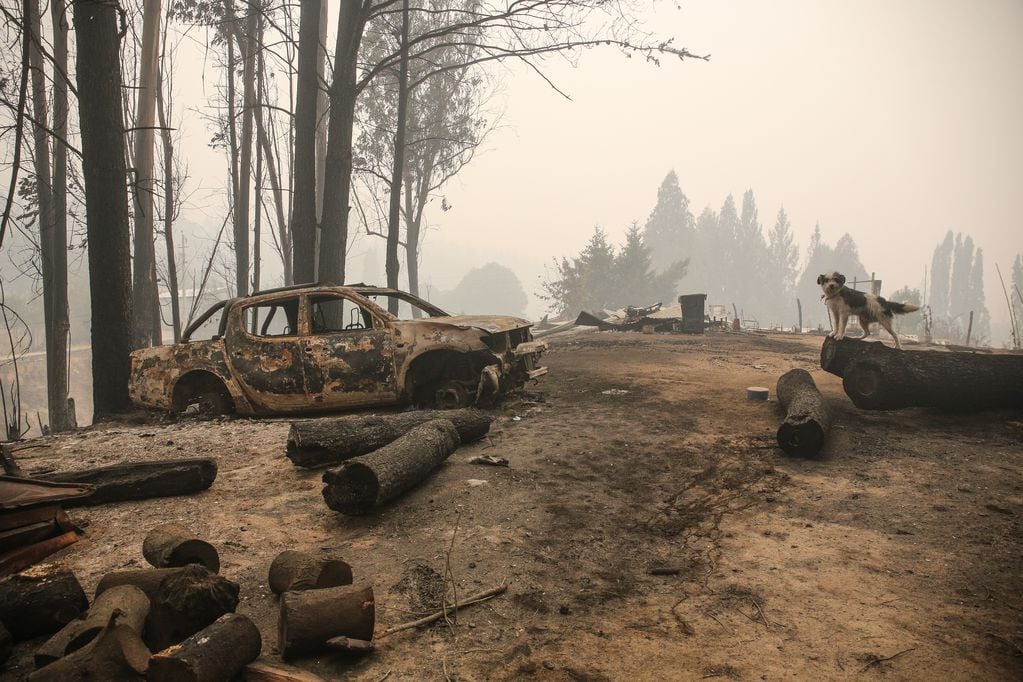 Los incendios forestales arrasaron con miles de casas y cobraron la vida de 17 personas en Santa Juana y Nacimiento.