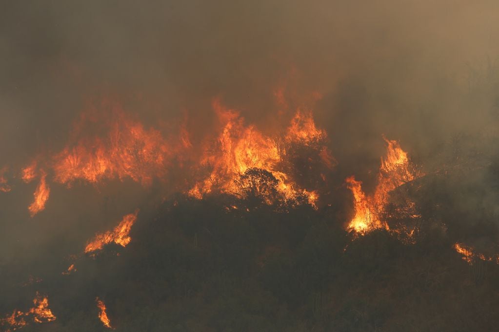3 DE FEBRERO DE 2024 / VALPARAÍSO 
Incendios forestales causan daños en el sector Las Rosas de Quilpué, casas destruidas por el fuego
FOTO: DIEGO MARTIN/AGENCIAUNO