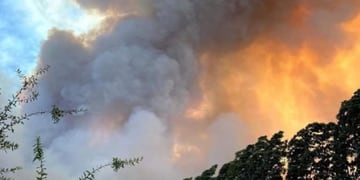 Senapred declaró alerta roja en Las Cabras por incendio forestal: siniestro está cerca de sectores poblados