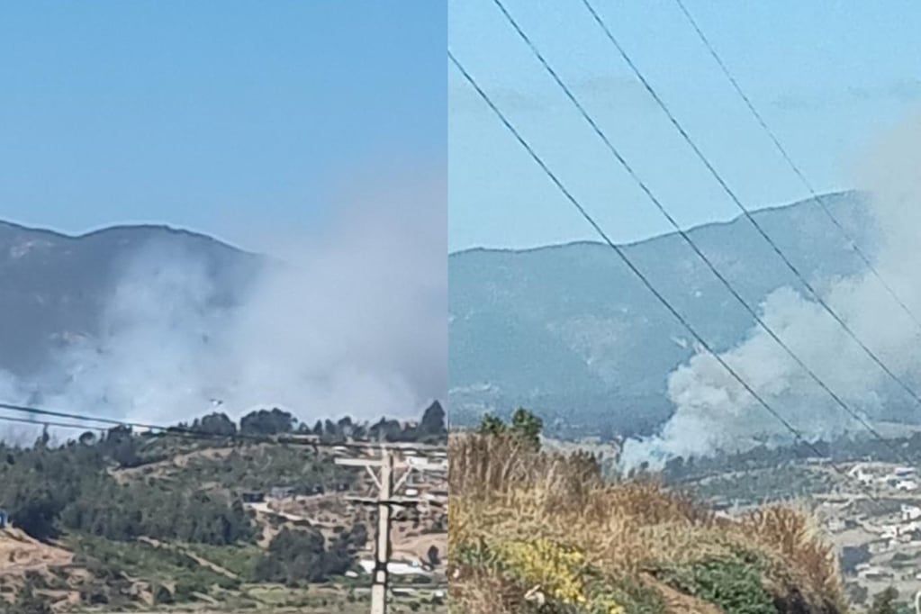 Declaran “Alerta Roja” en Quintero por incendio forestal