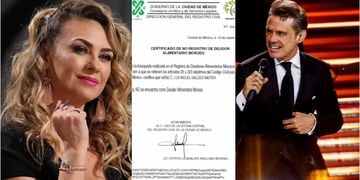 Luis Miguel desmiente a Aracely Arámbula: demuestra con documento que sí es un papá responsable