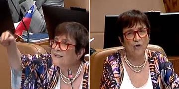 VIDEO Carmen Hertz por ley Naín Retamal