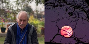 Pedro Engel explica los efectos astrológicos de la Luna Rosa