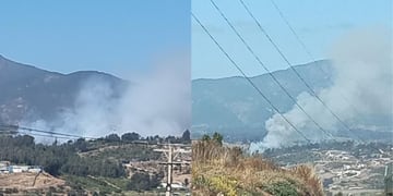 Declaran “Alerta Roja” en Quintero por incendio forestal