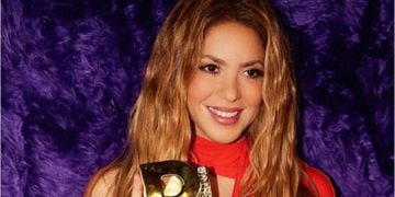 la foto viral de Shakira que emocionó a sus seguidores