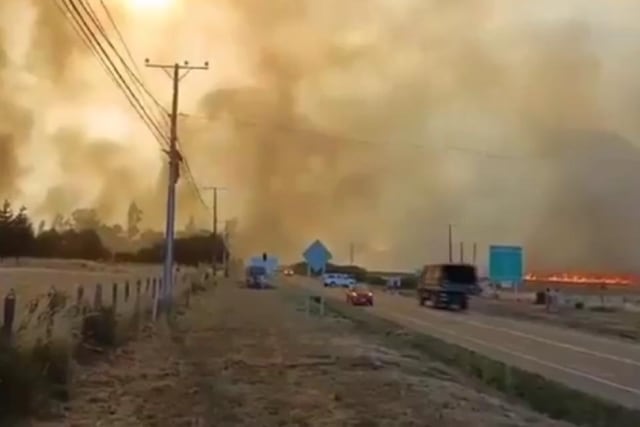 Ordenan evacuar sector de Ipinco en Purén por violento incendio forestal