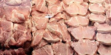 Seremi de Salud prohíbe funcionamiento de local y decomisa 335 kilos de carne por mala higiene