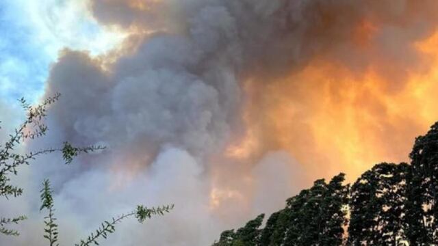 Senapred declaró alerta roja en Las Cabras por incendio forestal: siniestro está cerca de sectores poblados