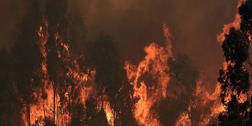 QUILPUE: Incendio forestal en Lago Peñuelas