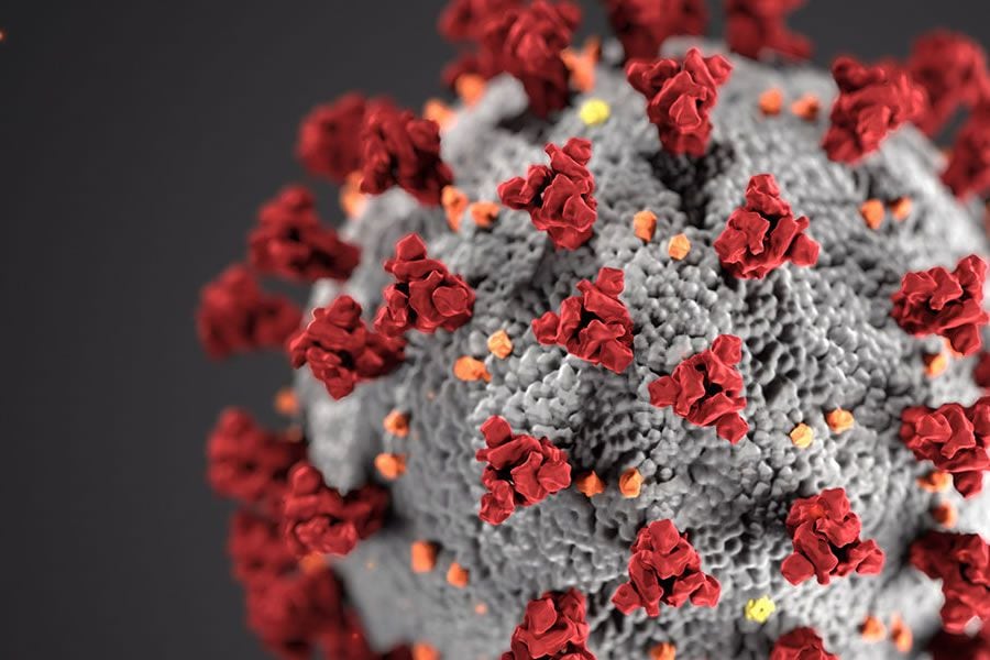 Un día como hoy hace dos años el bicho cobró su primera víctima mortal