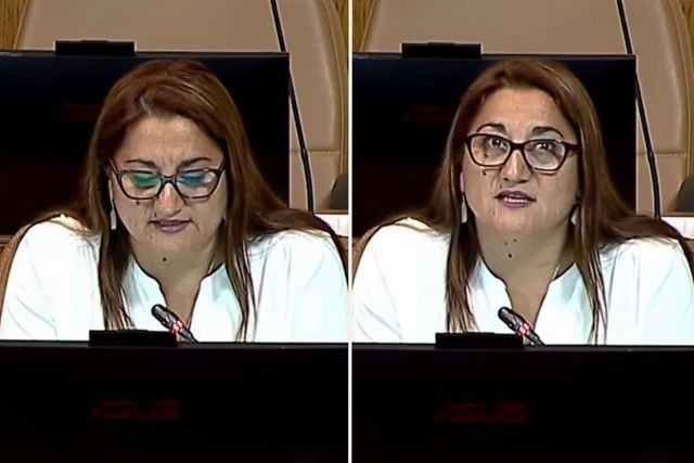 Diputada Viviana Delgado por reforma tributaria