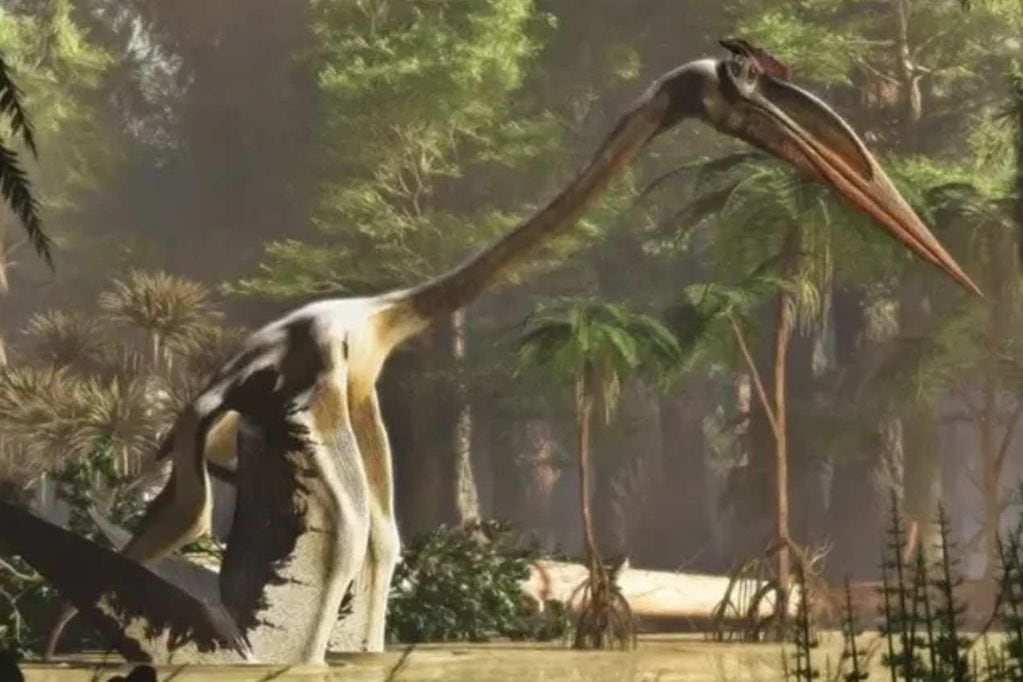 El Pterosaurio fue el primer reptil vertebrado capaz de volar.