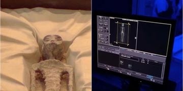 “Extraterrestre” habría estado embarazada: le hicieron tomografías y rayos X a los supuestos cuerpos no humanos