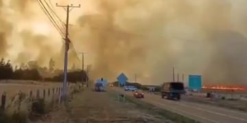 Ordenan evacuar sector de Ipinco en Purén por violento incendio forestal