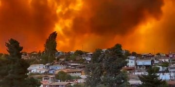 Incendio forestal: Ordenan evacuar sector Las Mellizas de Limache por avance del siniestro