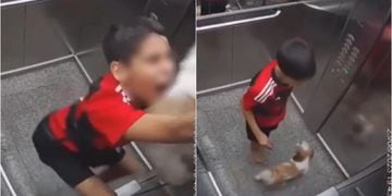niño héroe salvó a su perrita de morir atrapada en ascensor