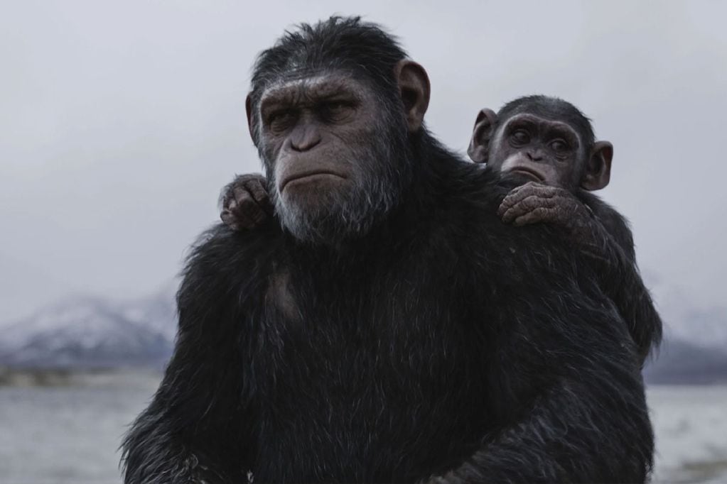 Caesar y Cornelius en War for the Planet of the Apes.