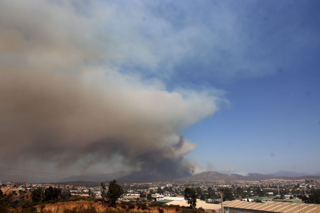 Incendio Valparaíso

Incendio forestal en el sector de Los Molles, comuna de Quilpue. 

Foto: Dedvi Missene