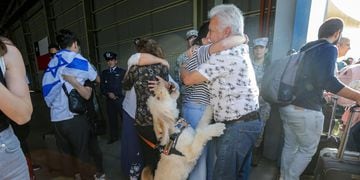 Perro en vuelo de chilenos evacuados de Israel