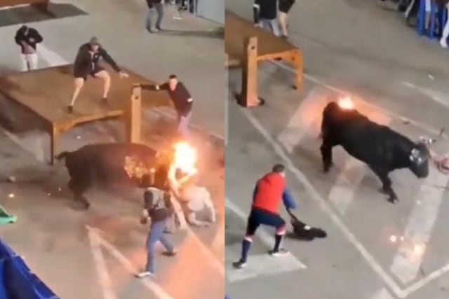 Toro casi mata a hombre que prendió fuego a sus cuernos en España