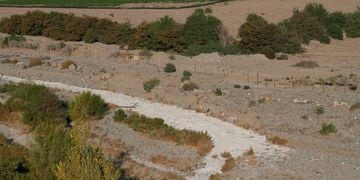 PETORCA: Plantaciones de palta que estaria causando la sequía en el sector