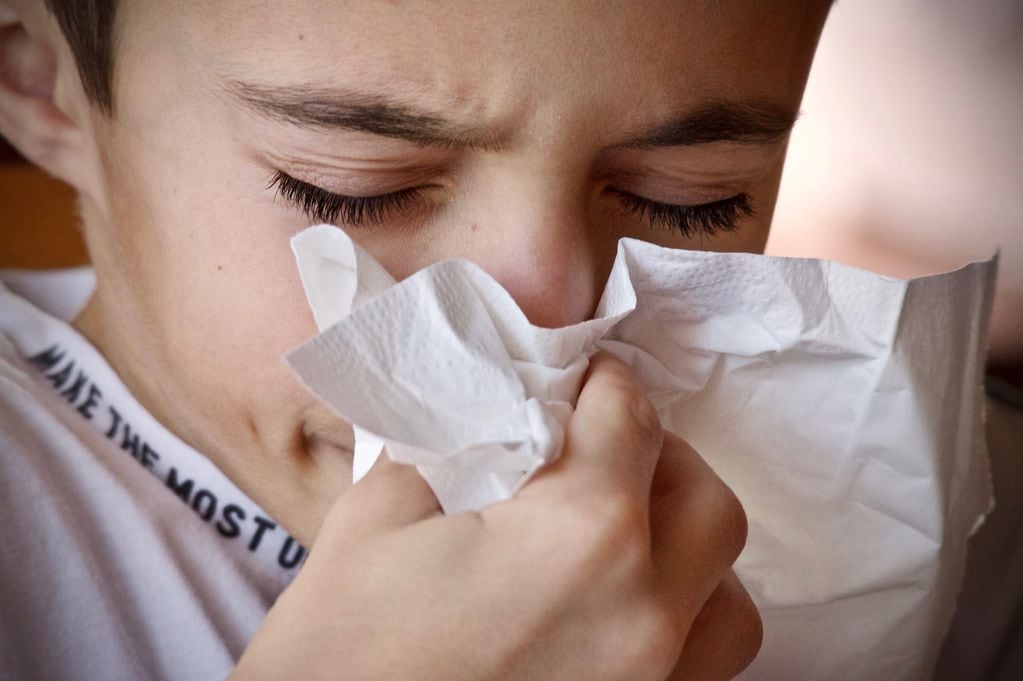 Los virus respiratorios podrían aumentar en invierno.