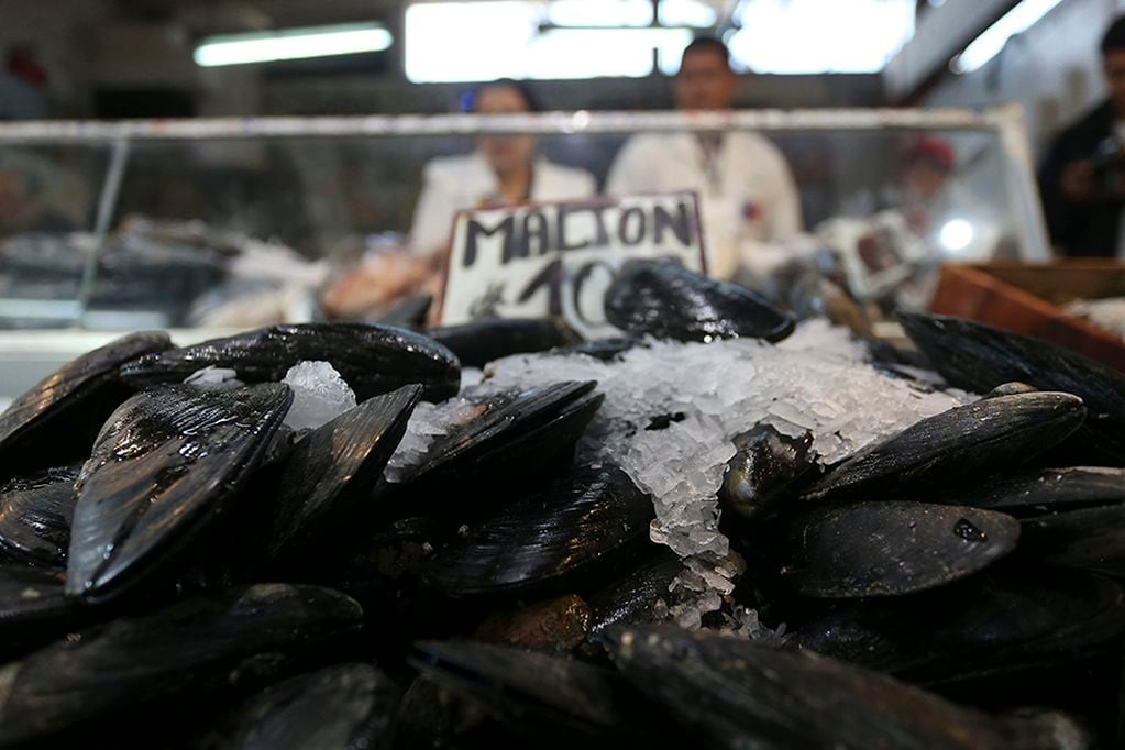 En Semana Santa, muchas personas prefieren consumir pescados y mariscos por la abstinencia de la carne. Foto: Cristóbal Escobar/AgenciaUno. 