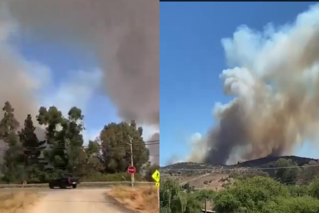 Senapred declaró Alerta Roja para el sector de San Pedro por incendio forestal: piden evacuar la zona