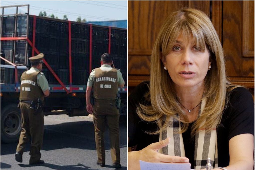 Senadora Rincón contó qué piden los camioneros tras doble crimen en Malloa