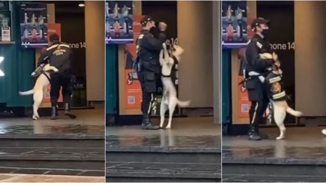 Policía jugando con perrito