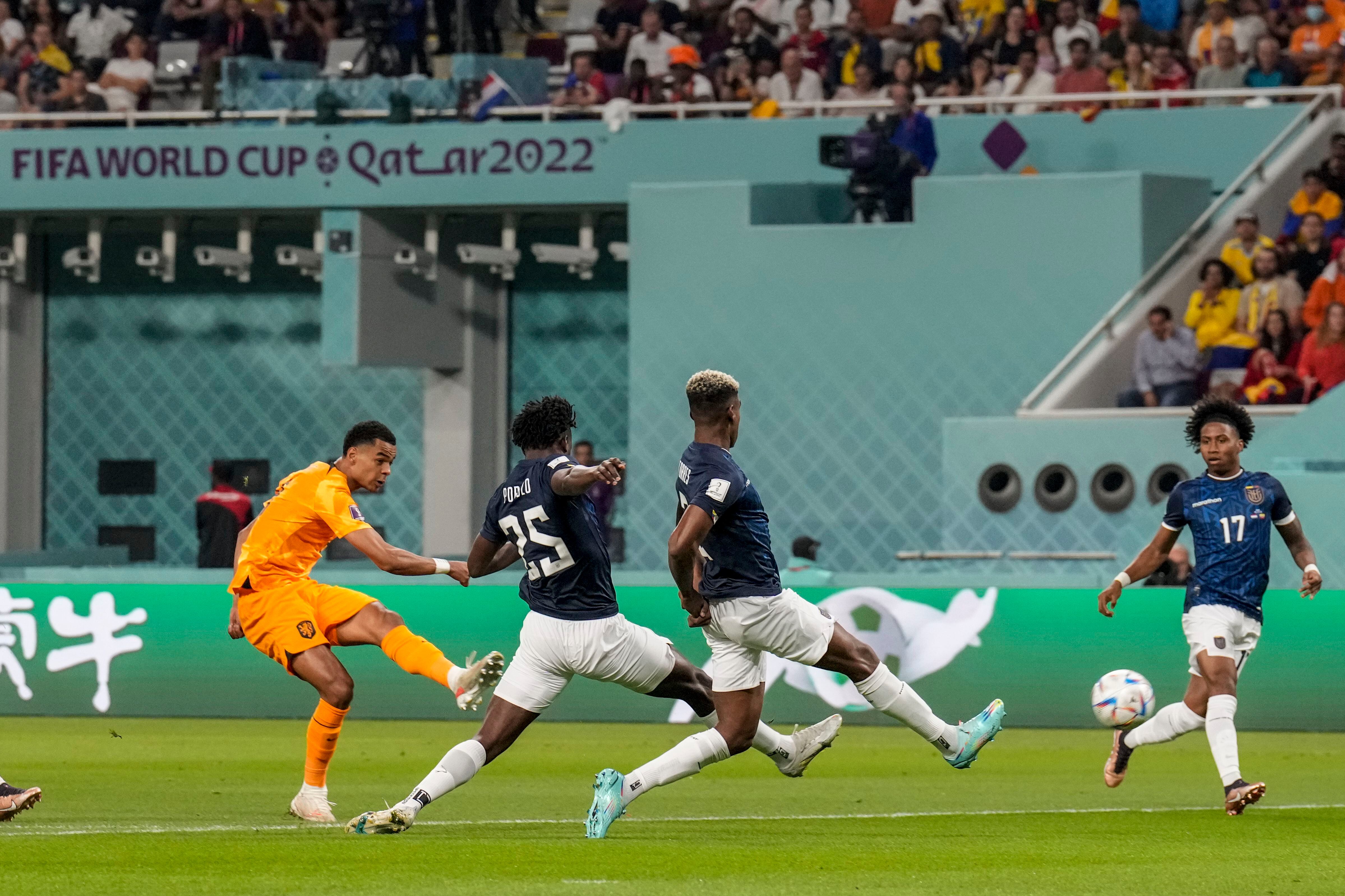 “Transferencia histórica”: Liverpool se adelantó a Manchester United y les robó a Cody Gakpo, el reemplazante de Cristiano