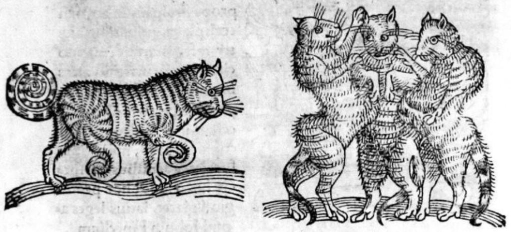“Grotescos” y “criaturas diabólicas”: por qué antiguamente dibujaban “feos” a los gatos