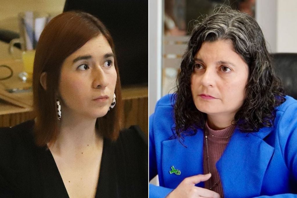 Catalina Pérez y Daniela Dresdner son amigas y militantes de RD. Ambas han sido apuntadas por el Caso Democracia Viva.