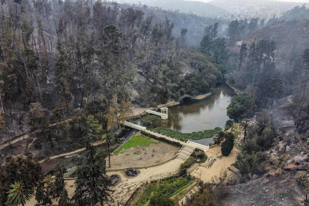 Vista de Drone de Incendios forestales en Jardín Botánico Nacional ubicado en Viña del Mar
FOTO: DIEGO MARTIN/AGENCIAUNO