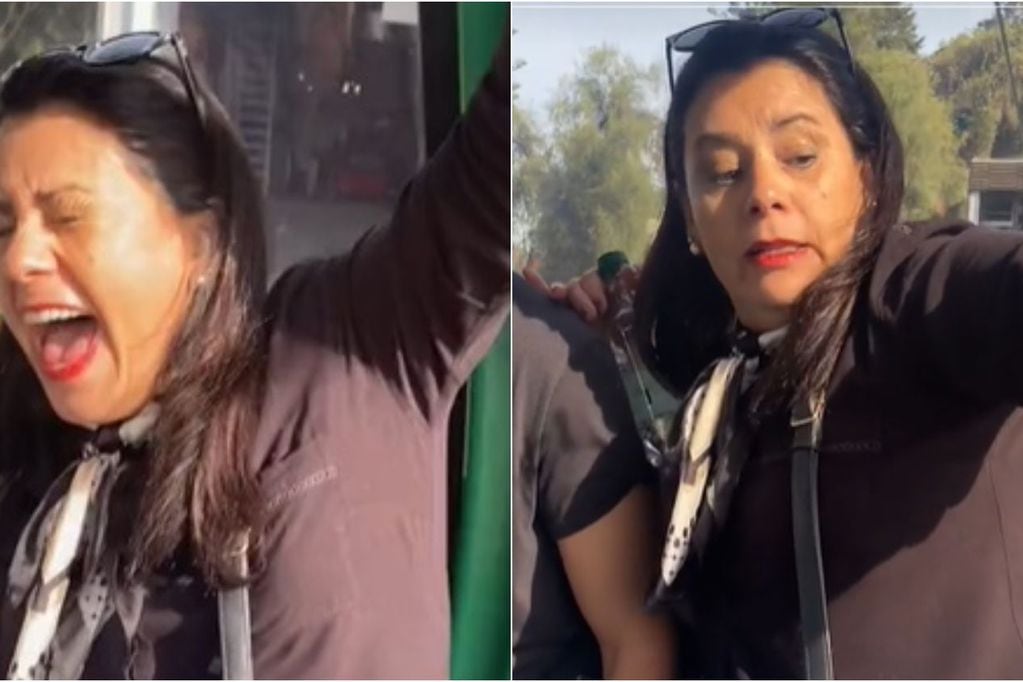 Mamá rancagüina es viral por su aterrada, y divertida, reacción en el teleférico de Santiago