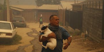 VIÑA DEL MAR: Bomberos combate las llamas en sector Las Pataguas