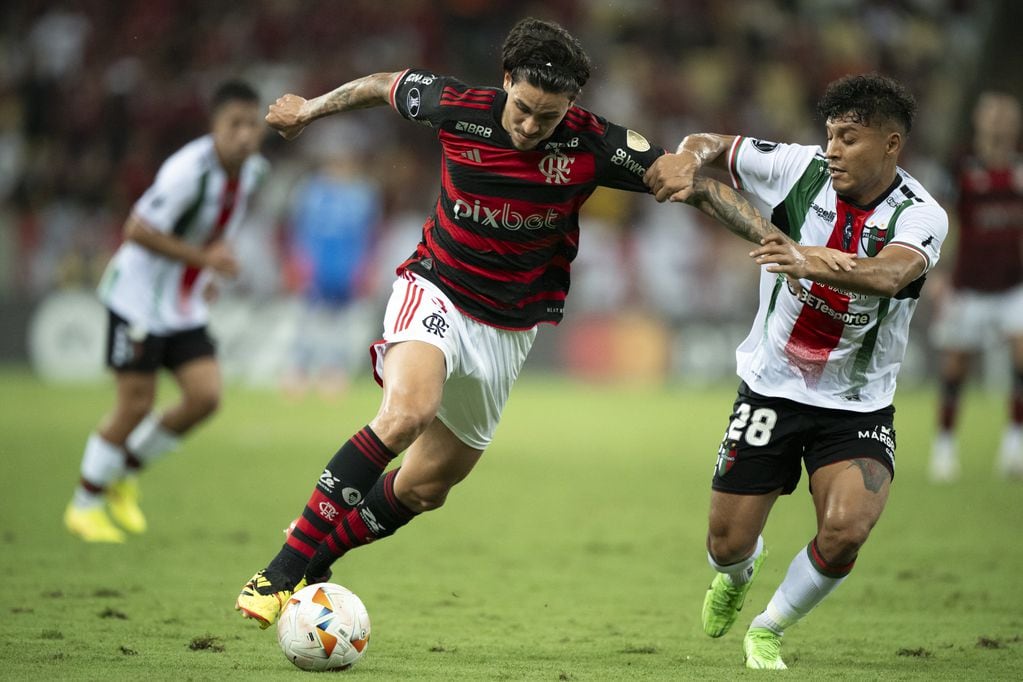 A qué hora y dónde ver Palestino vs. Flamengo. Foto: AGIF/Photosport.