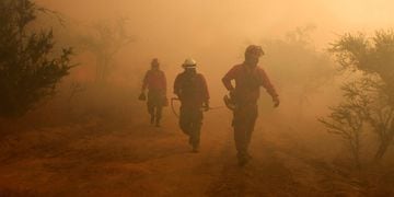 Trabajador forestal muere en incendios en Galvarino