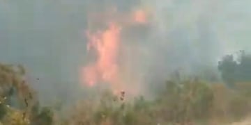 Incendio en Monte Patria.