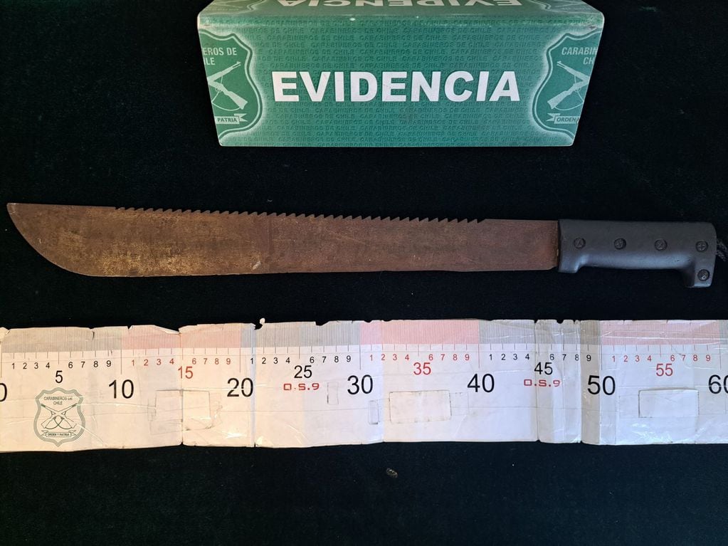 Las armas que usó el sujeto para agredir y amenazar a su pareja en Puente Alto.
