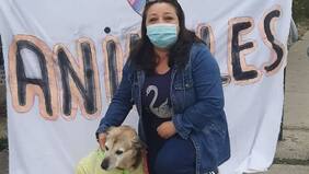 Quillotana quiere que animales tengan derechos en la nueva Constitución