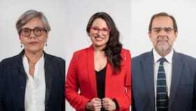 3 diputados sufren robo a sus vehículos en Viña del Mar: se llevaron placa de estacionamiento del Congreso