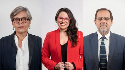 3 diputados sufren robo a sus vehículos en Viña del Mar: se llevaron placa de estacionamiento del Congreso