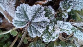¡A sacar la frazada extra! Este sería el día más helado de la semana en Santiago