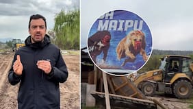 “Se acaban las carreras de galgos en Maipú”: Muni arrasó con antiguo “canódromo” y alcalde Tomás Vodanovic festejó