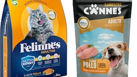 Iansa venderá sus marcas de alimentos para mascotas por una cifra muchísimo menor a su frustrada venta de 2020