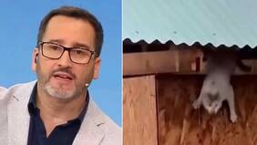 “Nos quedamos con una sensación muy triste”: Eduardo Fuentes actualiza estado de gato que saltó a río