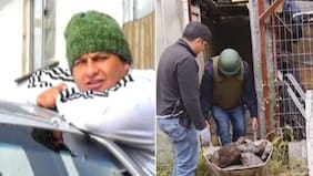 De “amigos” a despiadados asesinos: así cayó el trío criminal que descuartizó y enterró en tambor a joven chofer en Lota
