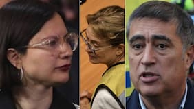 “¿A cambio de qué realizó gestiones?“: Irací Hassler destapa chat de Ángela Vivanco que complicaría a Mario Desbordes