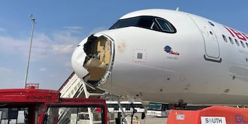 Avión chocó con ave